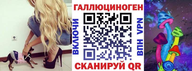 как найти наркотики Новосибирск Псилоцибиновые грибы Psilocybine cubensis